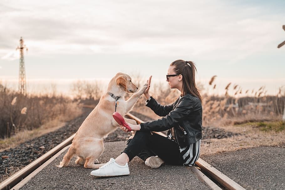 woman-sitting-and-playing-with-dog-outdoors