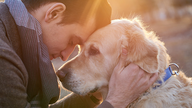 dog-mans-best-friend
